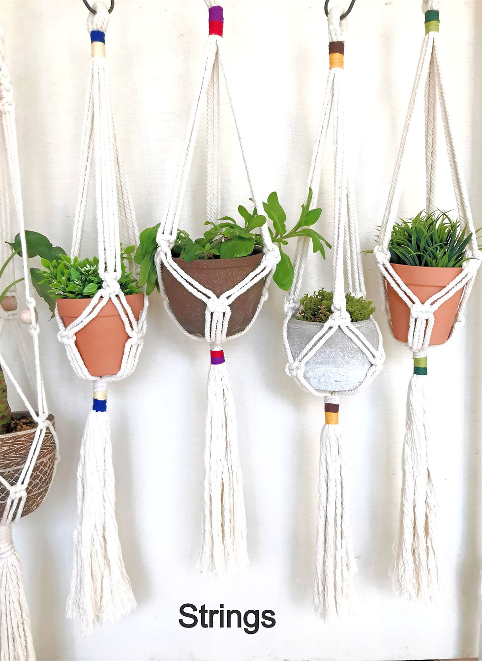 サムネイル： プラントハンガーPlant Hanger "Strings"