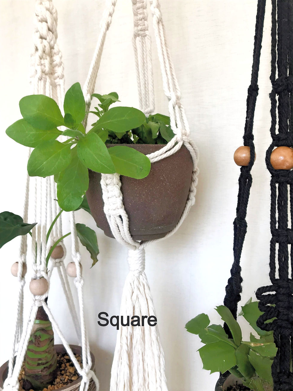 サムネイル： プラントハンガーPlant Hanger