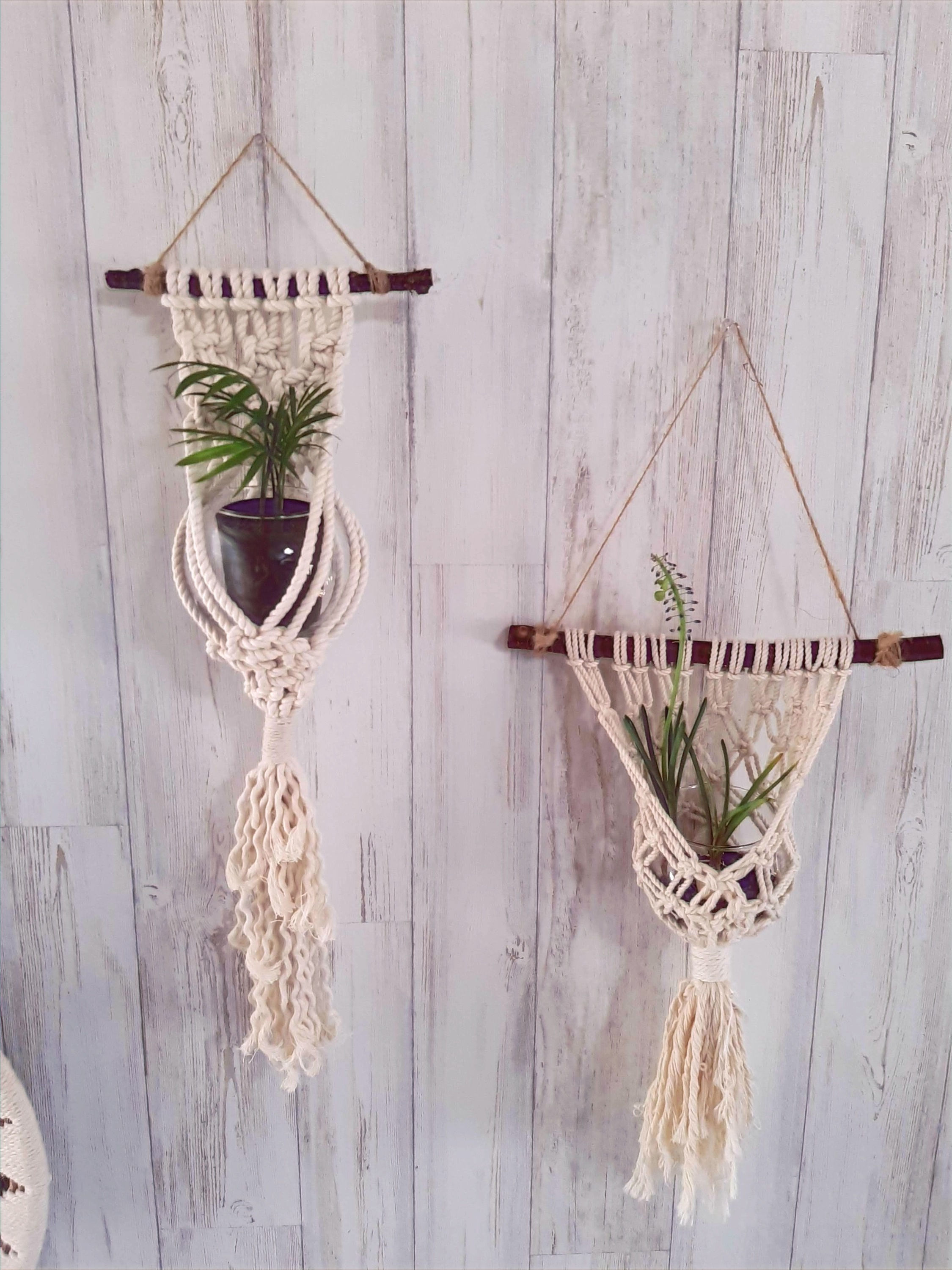 Plant hanger プラントハンガー