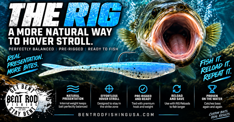 The RIG pre-rigged hover rig minnow for bass fishing