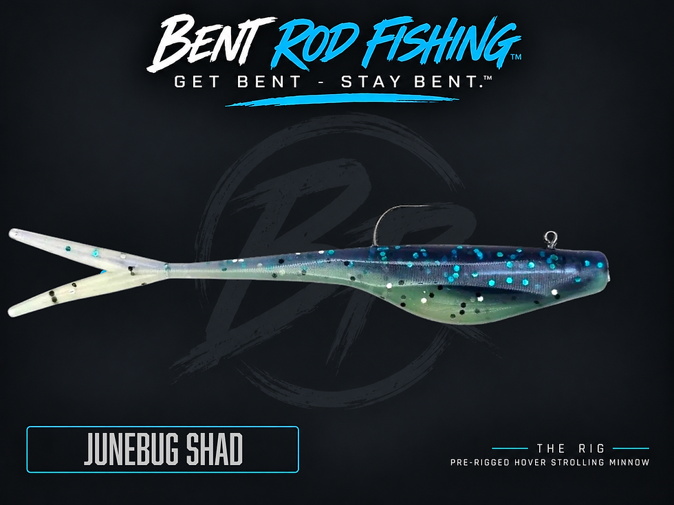Product listing photo of The RIG a pre-rigged have strolling bait