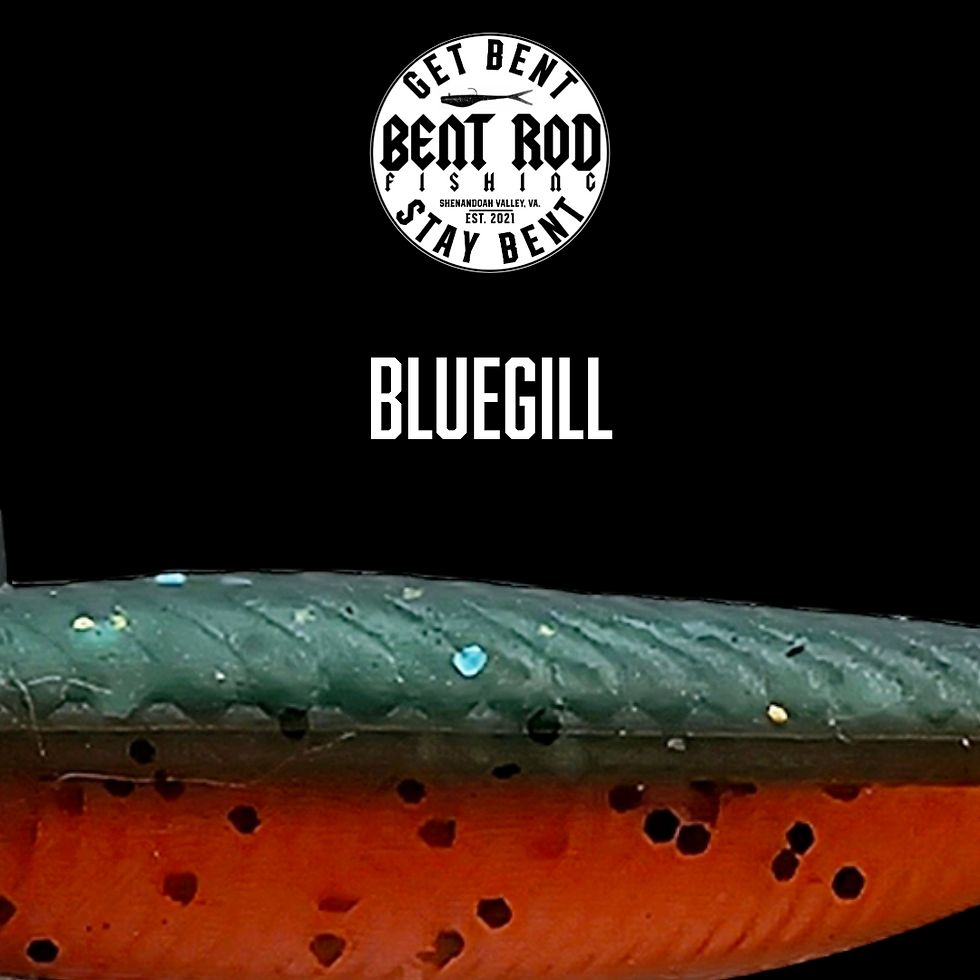 Bluegill custom soft plastic bait by Bent Rod Fishing, dark green top and bright orange belly