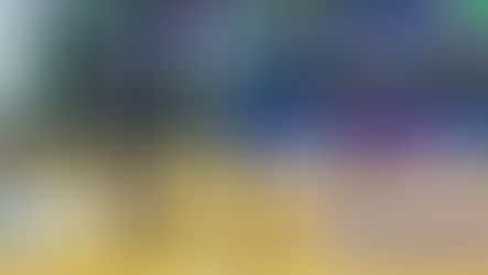 Halcones de Xalapa Femenil: Triunfo ante Abejas de León