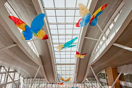 childrens_hospital9.jpg
