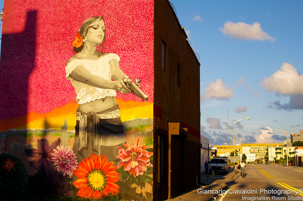 Wynwood, Miami Fl.