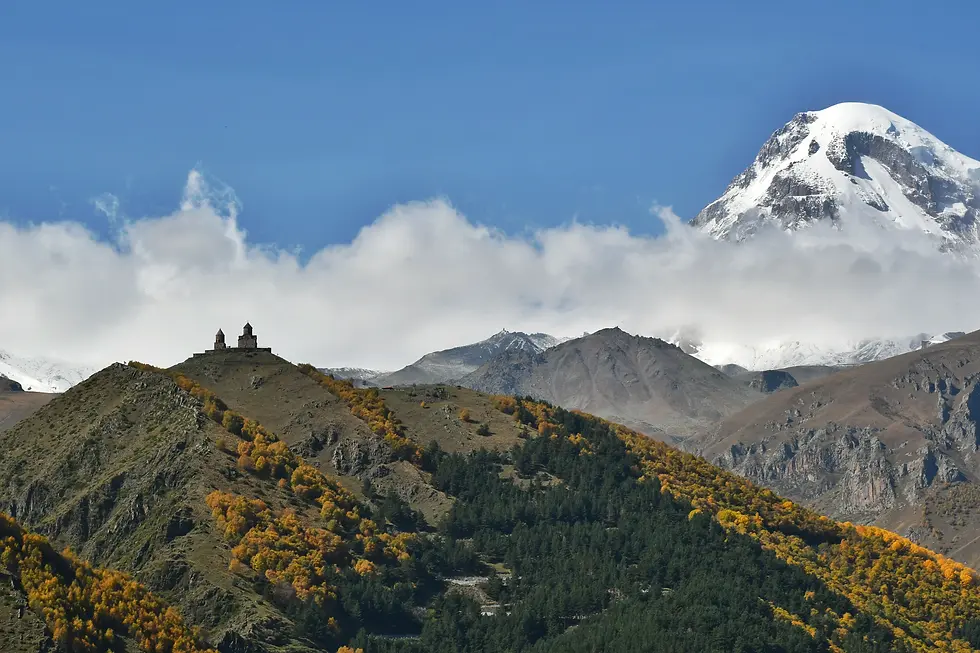 DSC_8570-01 (1).webp