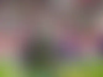 Clássico Rei 2024