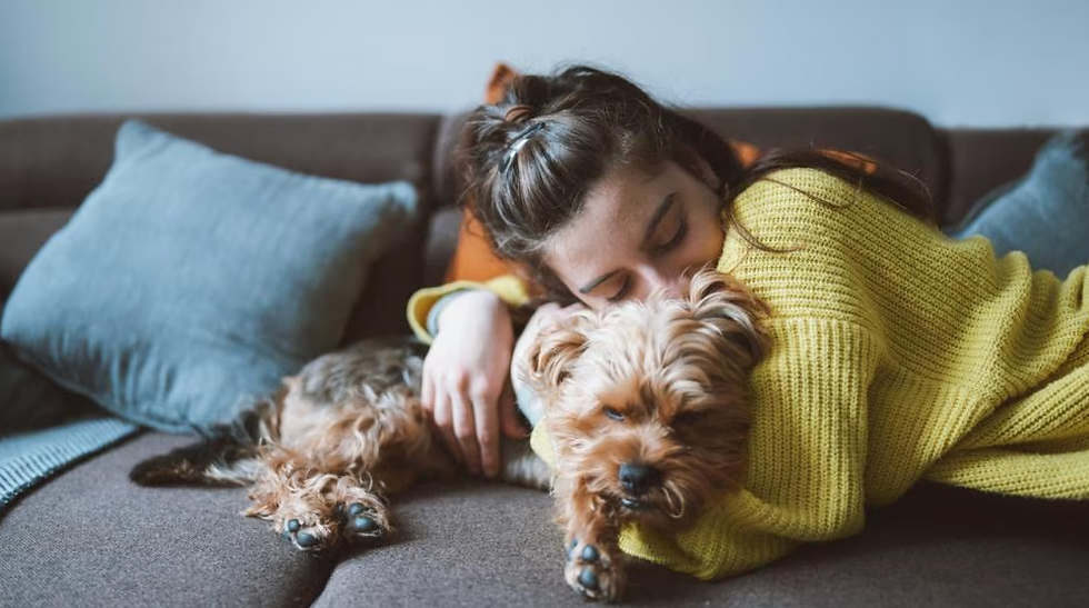 Dog hugging owner