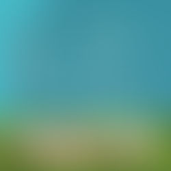 Giardia Testing for Dogs: Essential for Canine Health and Wellbeing