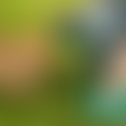 Handling Dog Poop Safely: Tips and Techniques