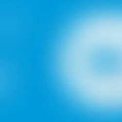 Understanding the Canine Estrous Cycle: A Comprehensive Guide for Aspiring Canine Reproduction Professionals