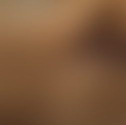 Understanding Eye Discharge in Dogs: A Veterinary Perspective