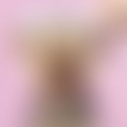 Time-Saving Dog Grooming Tips: A Professional's Guide