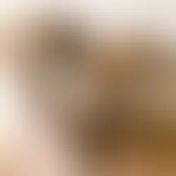 The Comprehensive Guide to Adopting and Caring for a Greyhound