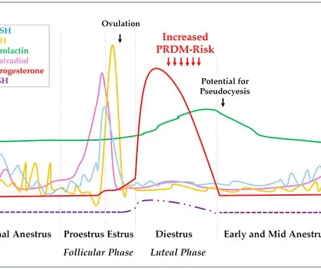 Benefits of Regular Hormone Monitoring