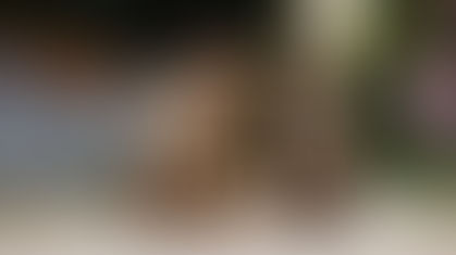 Understanding and Managing Strep Zooepidemicus in Dogs