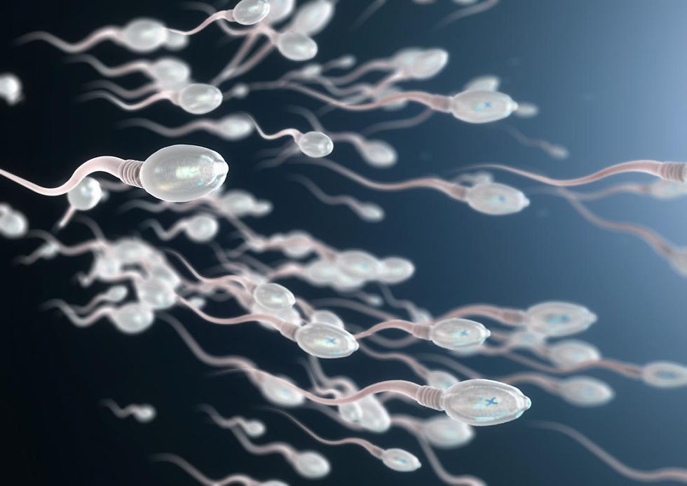 Semen Exotic Collection