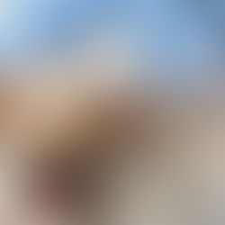 Bordetella Vaccine for Dogs