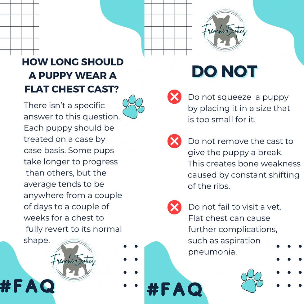 Thumbnail: Puppy Chest Cast Starter Set Sizes 0-5