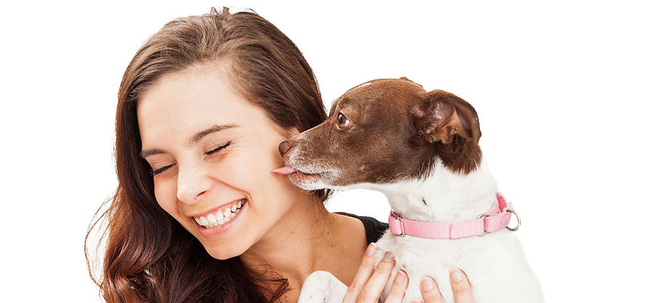 dog-licking-face