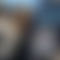 Military Working Dogs: Understanding Canine Post-Traumatic Stress Disorder