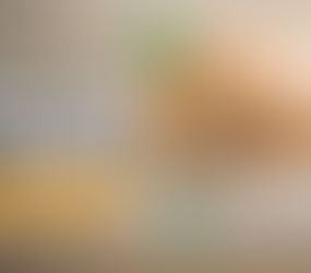 4 Most Common Sleep Disorders in Dogs