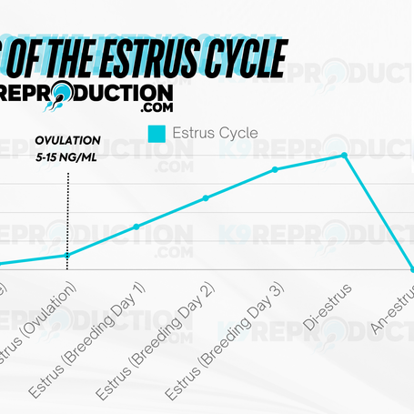 Understanding the Dog Ovulation Chart: A Key to Successful Breeding