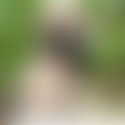 Understanding Puggle Puppy Allergies: A Comprehensive Guide