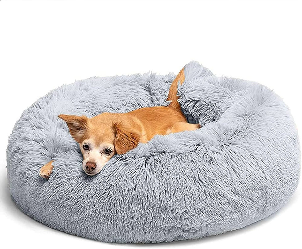 Dog Beds for Pets