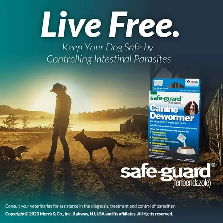 Deworming for Puppies: A Detailed Guide