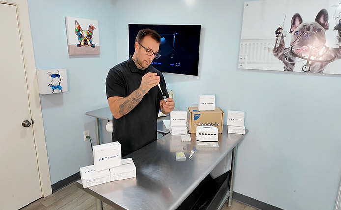 K9reproduction Clinic using Vet chroma