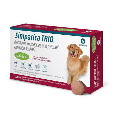 The 8 Best Flea and Tick Medications for Dogs in 2024, Recommended by Vets