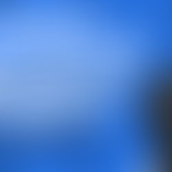 The Ultimate Guide to Canine Progesterone Testing Machines: Wondfo, Vet Chroma, and HealVet 3000