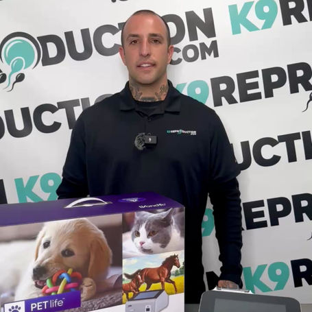 Introducing the Wondfo Pro DX – The Future of Canine Progesterone Testing