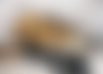 Why Is My Dog So Clingy?