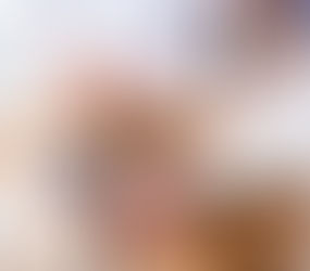 Understanding Canine Progesterone Levels: A Veterinary Perspective