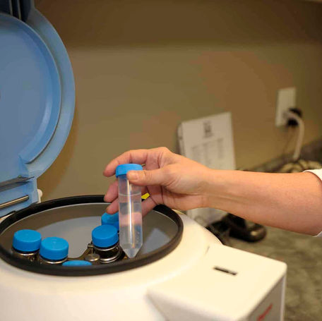 Benefits of Canine Semen Extenders: A Veterinary Perspective