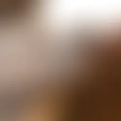 The Importance of B-Complex Vitamins in Breeding Dogs and Cats