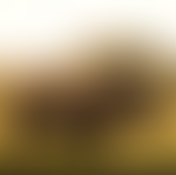 "iSperm's Revolutionary Role in Rhino Conservation and Beyond