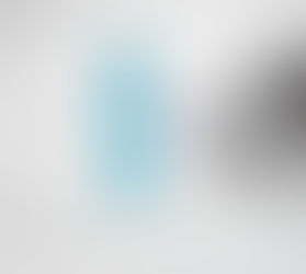 Blood Drawing Needle for Dogs: Comprehensive Guide from a Veterinary Professional