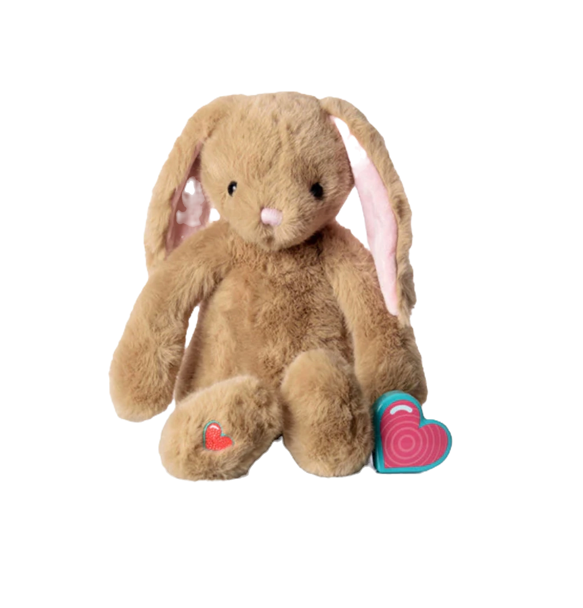 Heartbeat Bunny Keepsake
