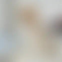 Canine Breeding Kits for Veterinarians