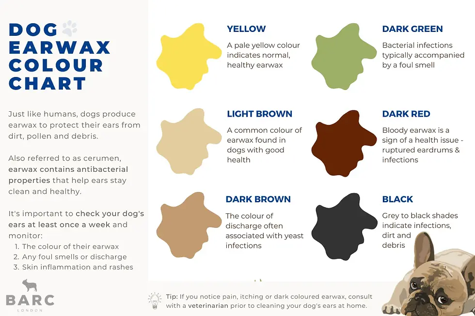 dog ear wax color chart