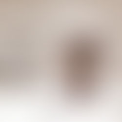 How Often Should You Bathe Your Dog?