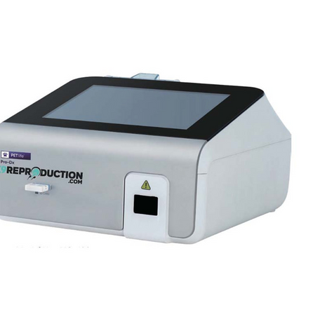 Navigating Canine Progesterone Testing in Dog Breeding