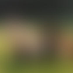 Selecting Breeding Stock: A Comprehensive Guide for Veterinary Professionals