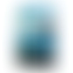 How to Deworm Your Dogs Using Fenbendazole: A Comprehensive Guide