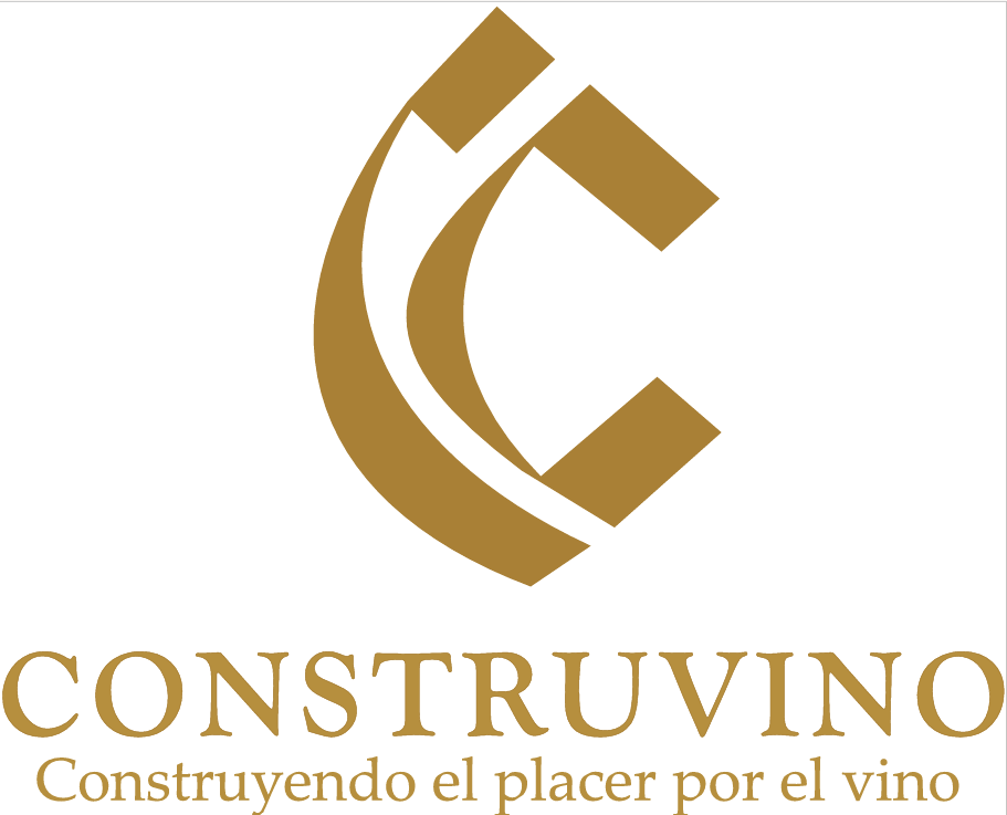 Foto del escritor: construvino