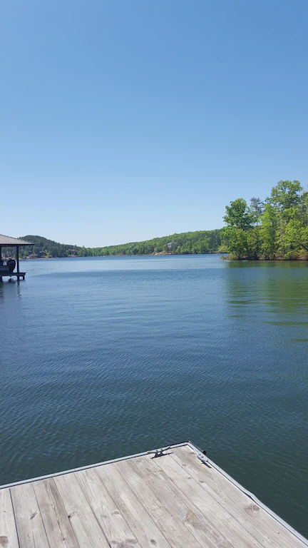 lake martin.webp