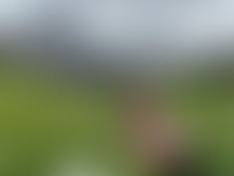 Switzerland: Murren (hiking, playgrounds and snails)